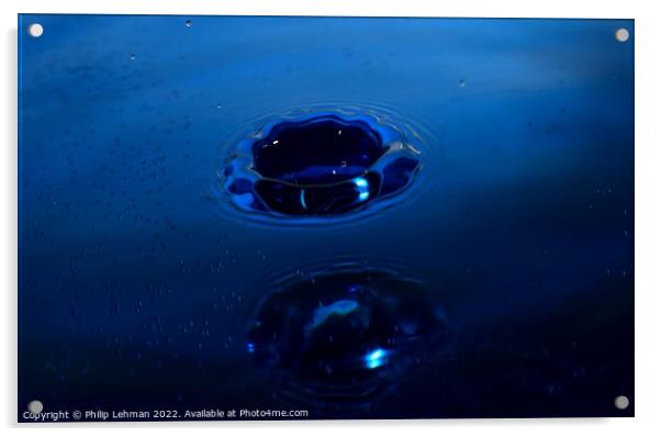 Blue Water Drops (32A) Acrylic by Philip Lehman