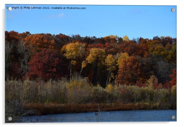 Yellowstone Lake Fall colors (32A) Acrylic by Philip Lehman