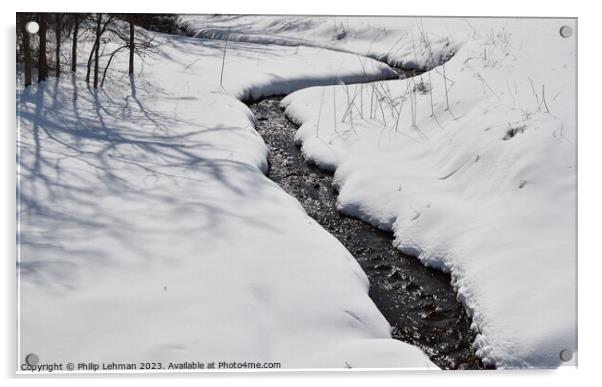 Snowy Landscape (12A) Acrylic by Philip Lehman