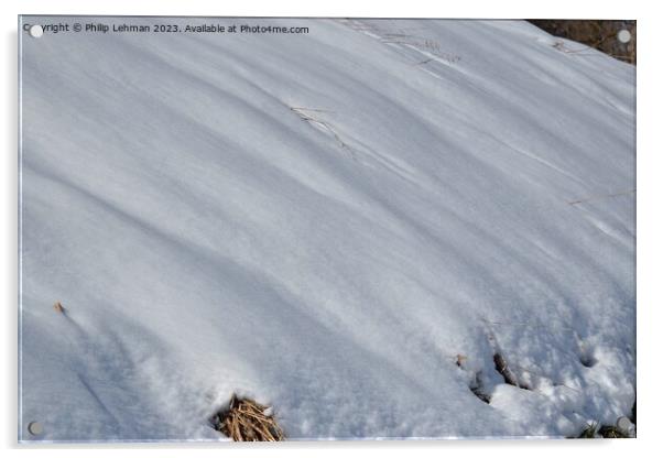 Snowy Landscape (82A) Acrylic by Philip Lehman