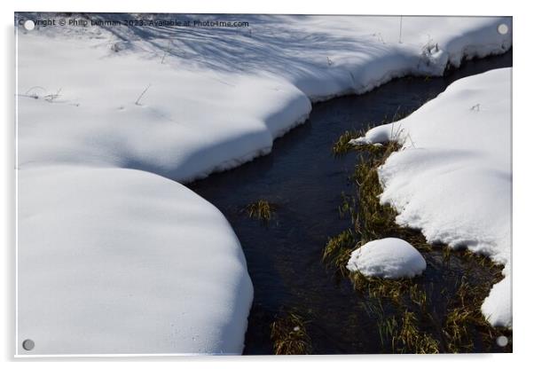 Snowy Landscape (72A) Acrylic by Philip Lehman