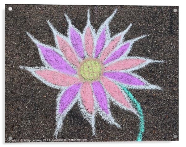 Pink Chalk Flowers 2A Acrylic by Philip Lehman