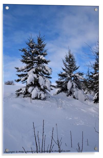 Snow Covered Pines 34A Acrylic by Philip Lehman