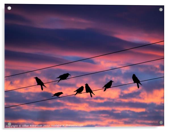 Birds on a wire - sunrise Acrylic by Gillian Robertson