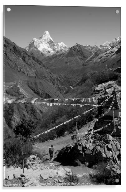 Mong La, Everest Himalaya, Nepal, 2007 Acrylic by Jonathan Mitchell