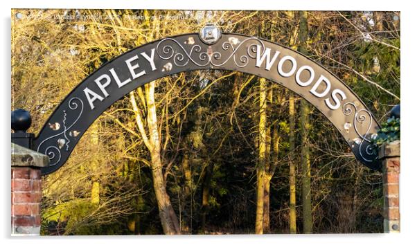The Entrance into Apley Woods, Telford Acrylic by Pamela Reynolds