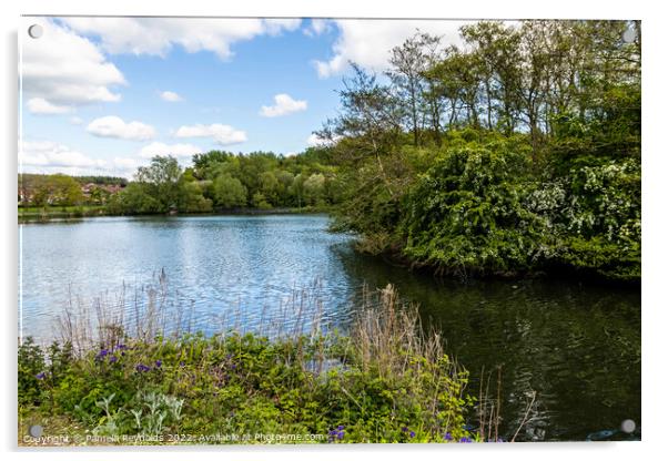 The Flash Lake, Telford Shropshire Acrylic by Pamela Reynolds