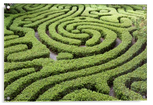 Maze formed from low hedges in a courtyard garden, Kuala Lumpur, Malaysia Acrylic by Gordon Dixon