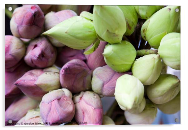 Lotus flower buds for sale at a South Korean market Acrylic by Gordon Dixon