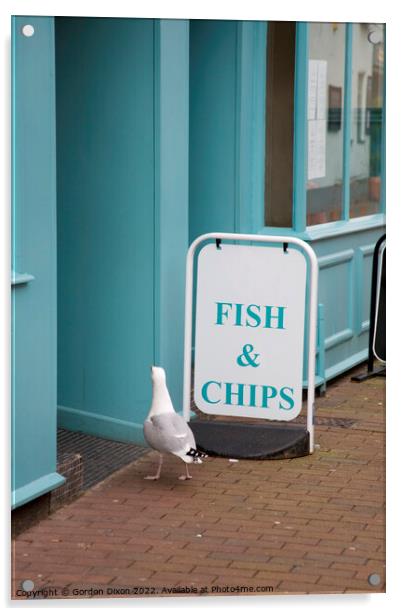 A seagull walking into a fish and chip shop in Sidmouth, Devon  Acrylic by Gordon Dixon
