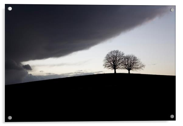 Two mature trees on a hill in silhouette brace for the imminent storm Acrylic by Gordon Dixon