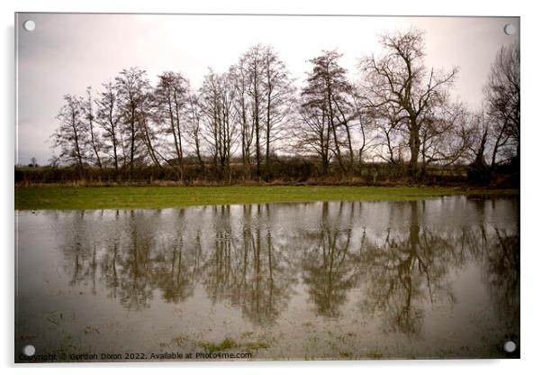 A row of trees reflected in flood water in a Somerset field Acrylic by Gordon Dixon