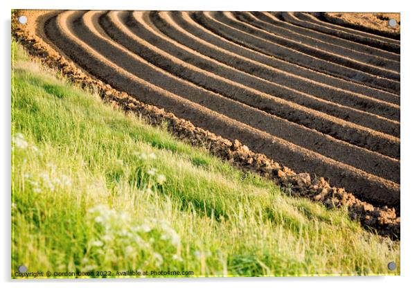 Ploughed field with sunlight emphasising the furrows Acrylic by Gordon Dixon