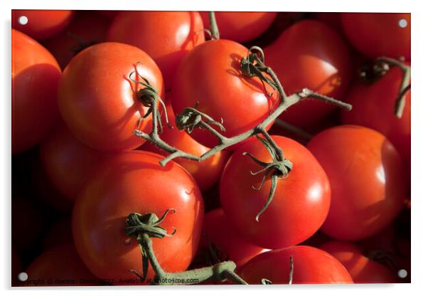 Fresh tomatoes - simply de vine Acrylic by Gordon Dixon