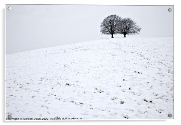 Spir Hill in Somerset covered in snow and two trees Acrylic by Gordon Dixon