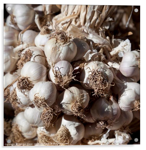 Garlic cloves Acrylic by Gordon Dixon