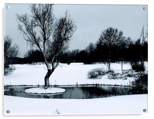 Woodbridge in Winter Acrylic by Nick Edwards