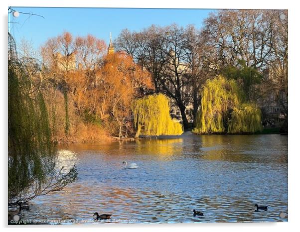 The Pond and the Willows - St James Park - London  Acrylic by Alix Forestier