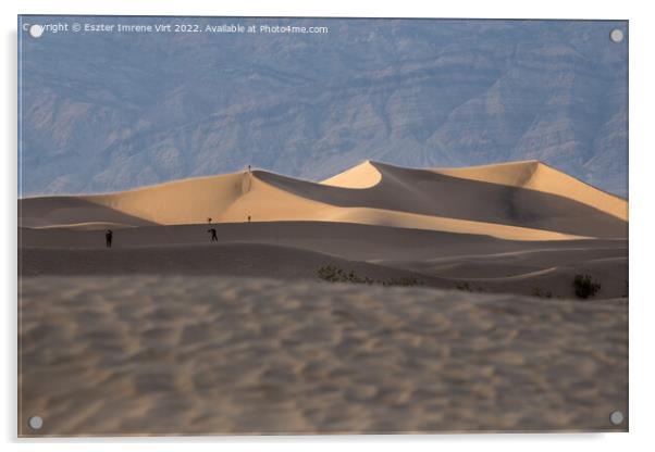 Dunes in the desert Acrylic by Eszter Imrene Virt