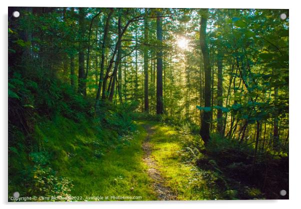 Cwm Rhaeadr Forest in September Acrylic by Chris Richards