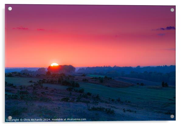 Sunset Over Friends Clump, Ashdown Forest Acrylic by Chris Richards
