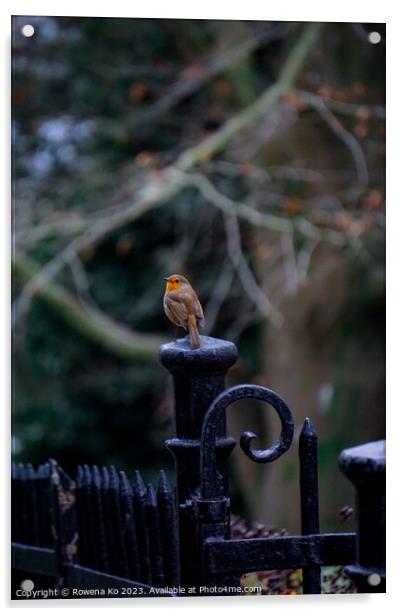 Little Robin in a winter park  Acrylic by Rowena Ko