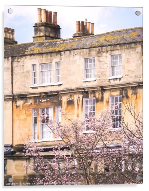 Cherry blossom and Georgian Building  Acrylic by Rowena Ko