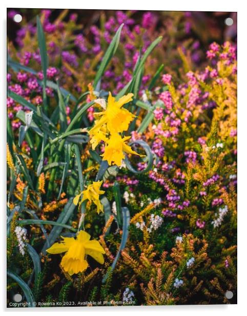 Blooming garden showing in spring sunlight Acrylic by Rowena Ko