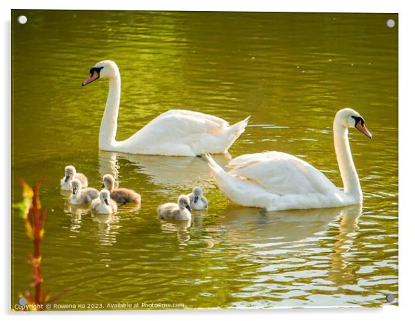 Serenity of a swan family Acrylic by Rowena Ko