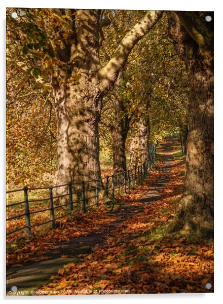 Fall mood photo of cotswold city Bath in Autumn Acrylic by Rowena Ko