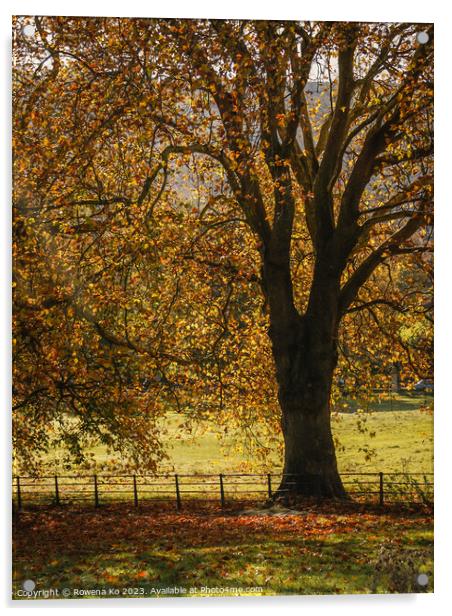 Fall mood photo of cotswold city Bath in Autumn Acrylic by Rowena Ko