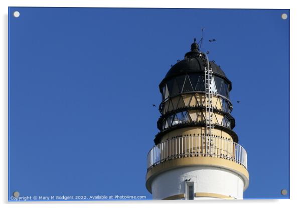 Scurdie Ness Lighthouse Ferryden Acrylic by Mary M Rodgers