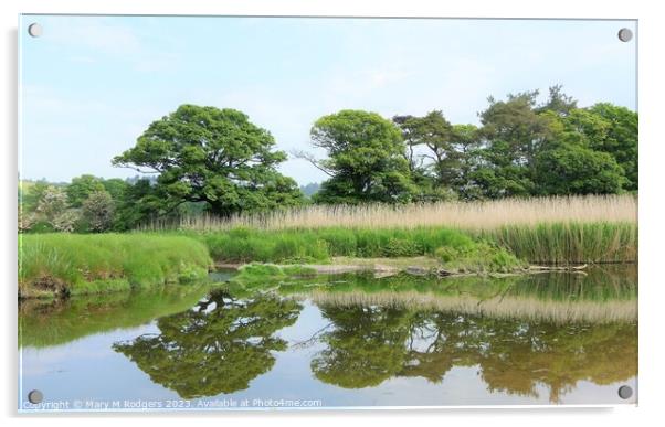 Lunan Waters Acrylic by Mary M Rodgers