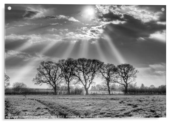 Sunbeams through mist at Goathland, North York Moors in black and white. Acrylic by Anthony David Baynes ARPS