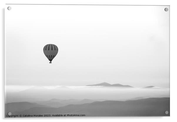 Hot air balloon in Black and White Acrylic by Catalina Morales