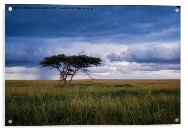 Serengeti rain Acrylic by Etienne Steenkamp