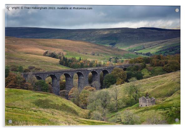 Dent Head Viaduct Acrylic by Traci Habergham