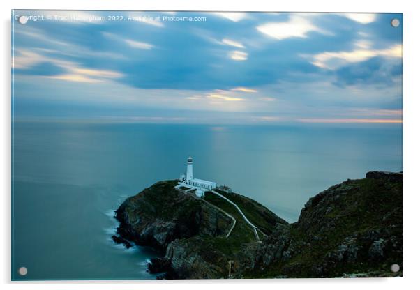 South Stack Lighthouse Acrylic by Traci Habergham