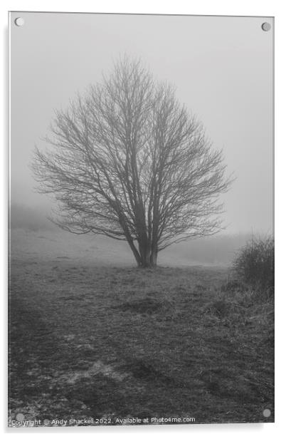 Tree in the mist Acrylic by Andy Shackell