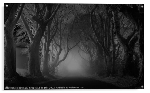 The Dark Hedges at Night Acrylic by Storyography Photography