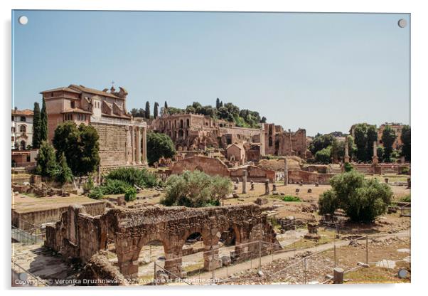 Building. Ruins in old town. Rome, Italy Acrylic by Veronika Druzhnieva