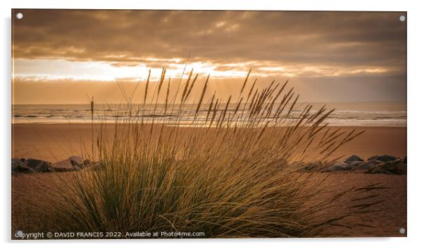 Golden Sunrise Over Montrose Bay Acrylic by DAVID FRANCIS