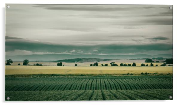 Rolling Hills of Arbroath Acrylic by DAVID FRANCIS