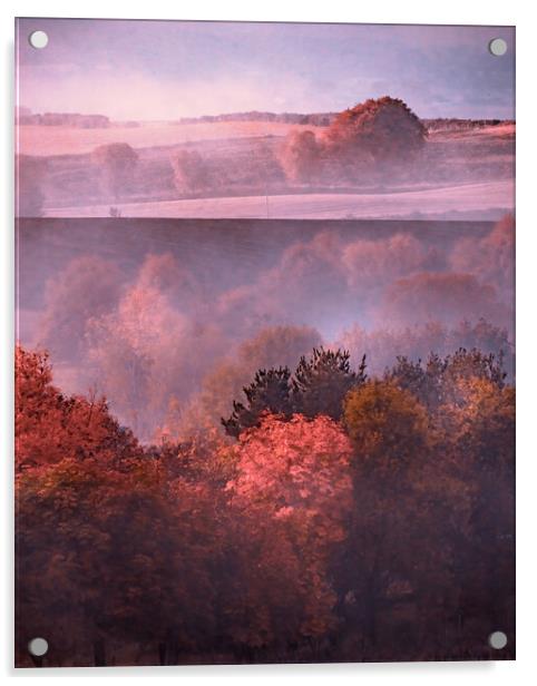 Enchanting Autumn Mist Acrylic by DAVID FRANCIS