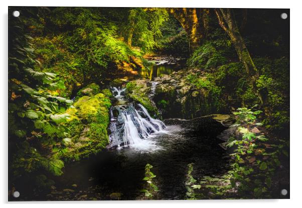 Stunning Arbirlot Waterfall in Scotland Acrylic by DAVID FRANCIS