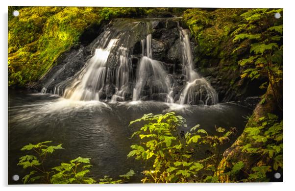 Spectacular Arbirlot Waterfall in Scotland Acrylic by DAVID FRANCIS