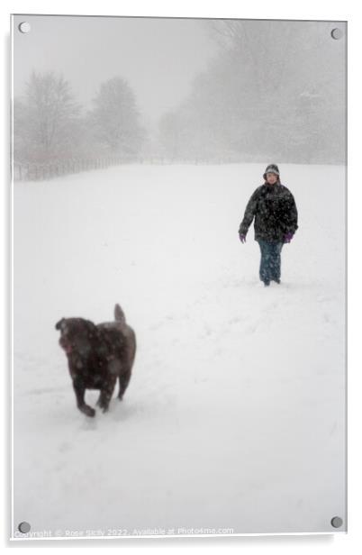 Person walking a dog in winter in snowy fields  Acrylic by Rose Sicily