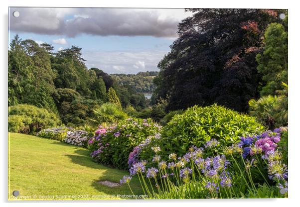 The sub-tropical Trebah Garden in Cornwall. Acrylic by Gordon Scammell