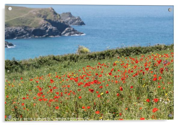 Poppies on Pentire Point West in Newquay, Cornwall Acrylic by Gordon Scammell