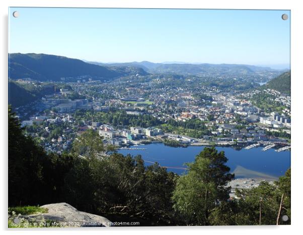 Beautiful Bergen Acrylic by Chris Morgat